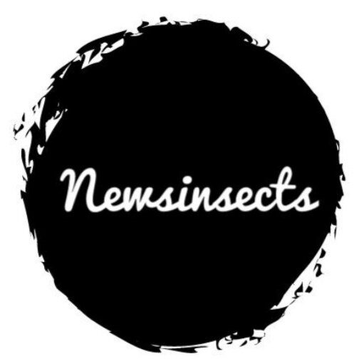 NewsInsect Stories